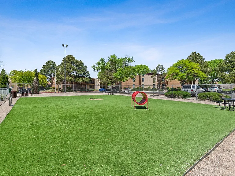Dog Park