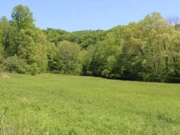1910 Mabe Stanleytown Rd, Duffield, VA 24244