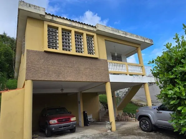 Barrio Toita Sector, Cayey, PR 00736