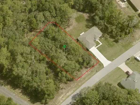 1839 W Iron Gun Pl, Citrus Springs, FL 34434