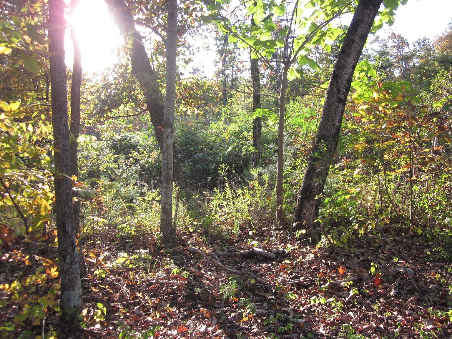 3 Edwardsville Rd TRACT 3, Hardy, VA 24101 MLS 884794 Zillow