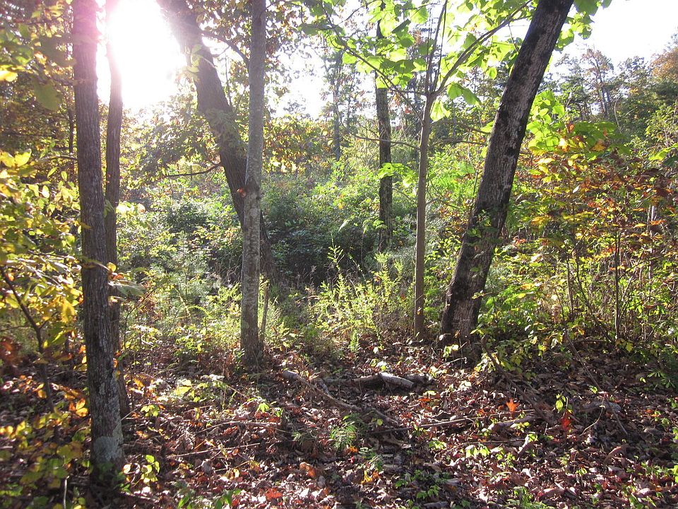 3 Edwardsville Rd TRACT 3, Hardy, VA 24101 MLS 884794 Zillow