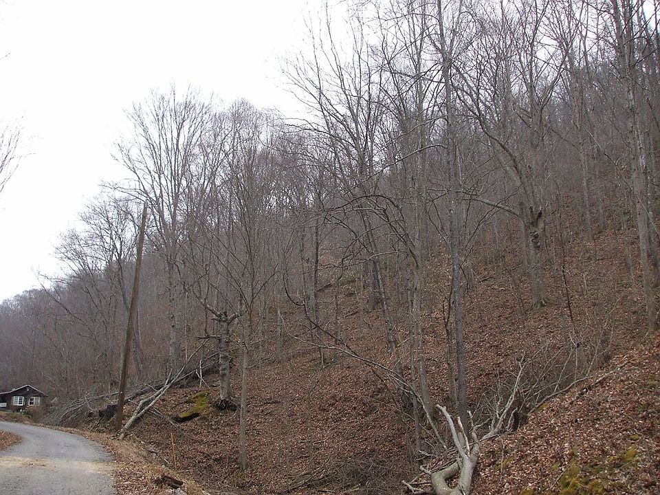 2nd image of 275 Dennis Holw
