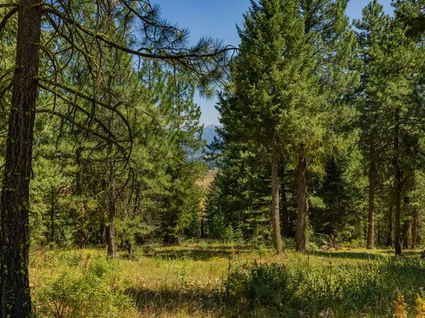 5545 Lupine Ln, McCall, ID 83638