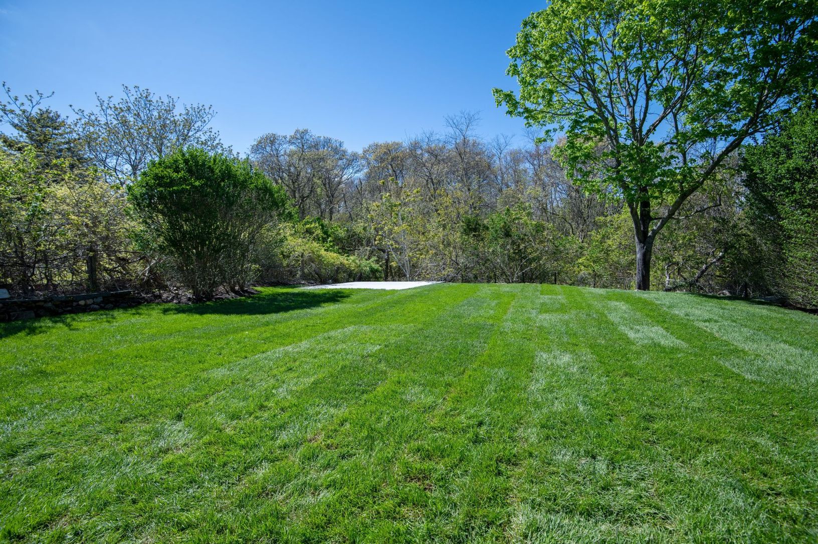 Rear yard backing up to preserve
