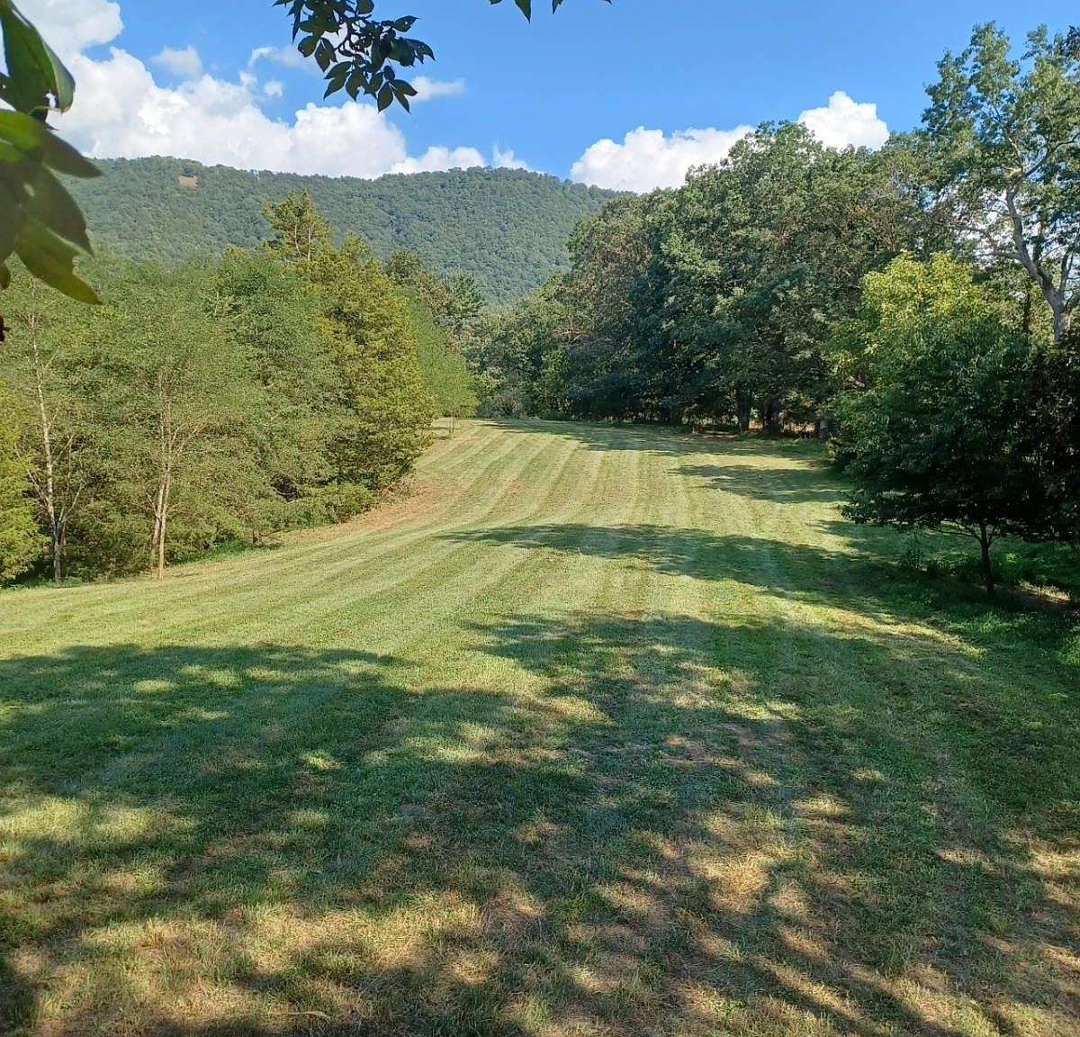 18264 Crab Run Rd, Bergton, VA 22811 Zillow