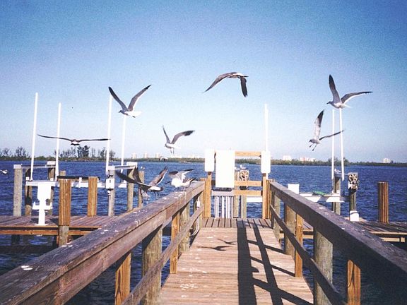 3642 River Woods Community Dock