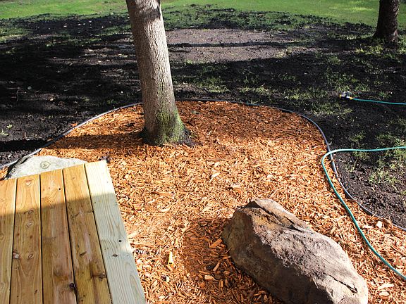 New Landscape & grass seed