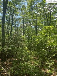 TBD East Mill Creek Road, Todd, NC, 28684
