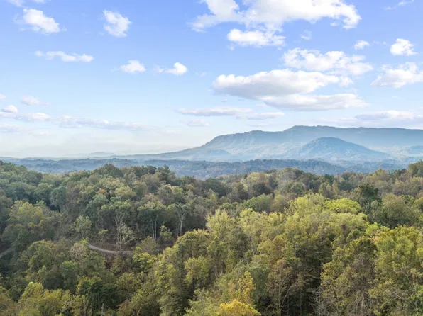 0 Long Branch Rd, Seymour, TN 37865