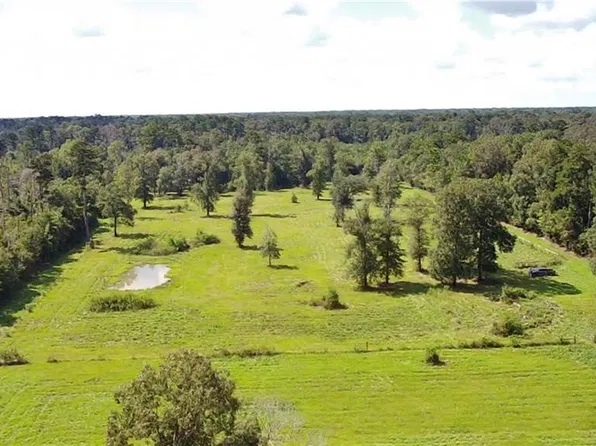 1 Carew Harris Rd, Denham Springs, LA 70726