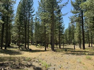 1269 Valley Ranch Dr, Clio, CA 96106