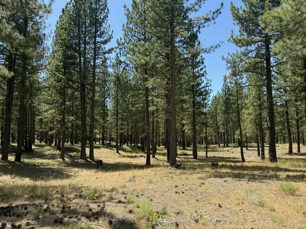1269 Valley Ranch Dr, Clio, CA 96106