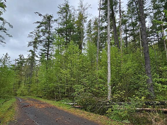 3rd image of 5.95 Acres Tae Kwon Road