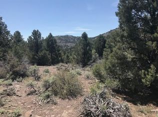 4700 Lost Burro Rd, Reno, NV 89521