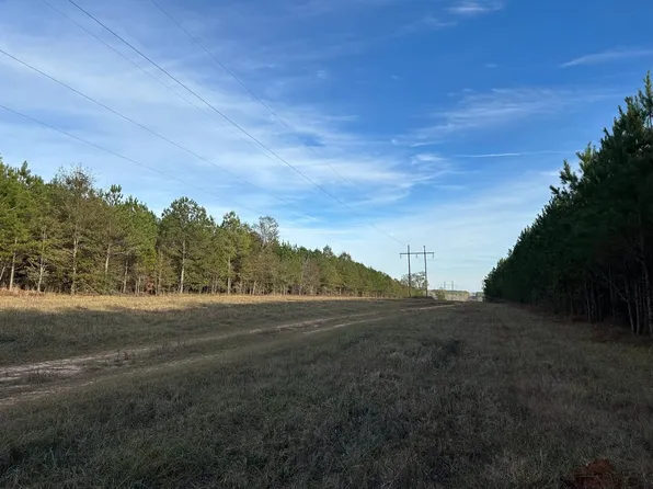 0 Harry Priddy Rd, Americus, GA 31719