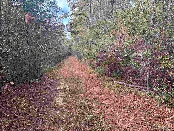 3rd image of 0 Ryan Rd