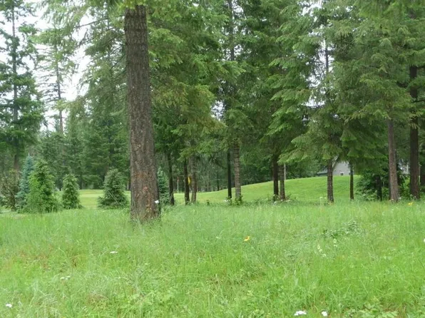 6XX Palmer Ln, Chewelah, WA 99109