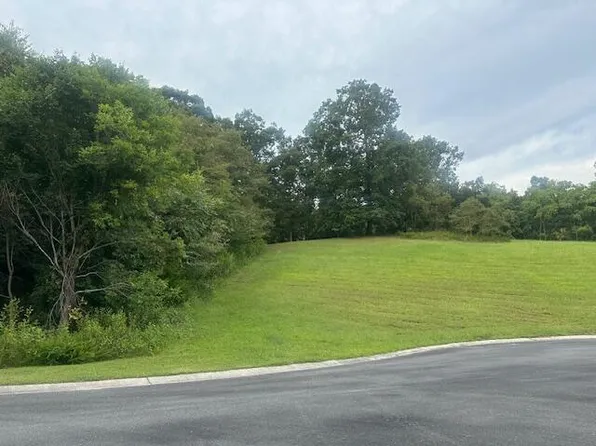 LOT-203R Harbor Point, Mooresburg, TN 37811