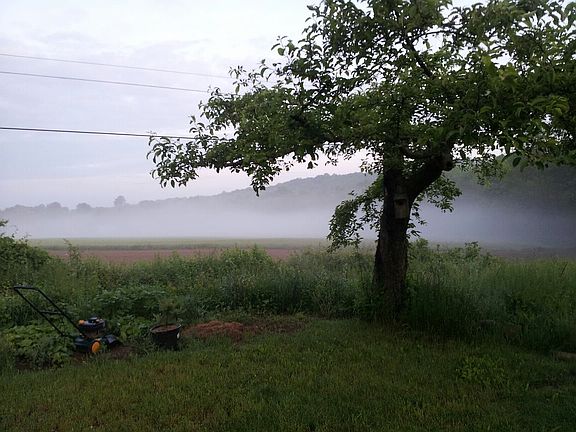 Beautiful Garden area