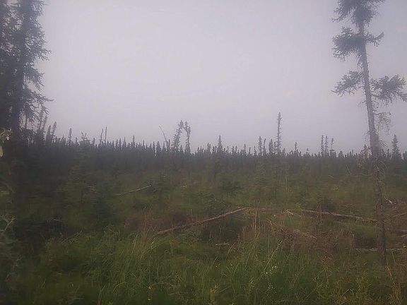 5th image of 3266 Richardson Hwy