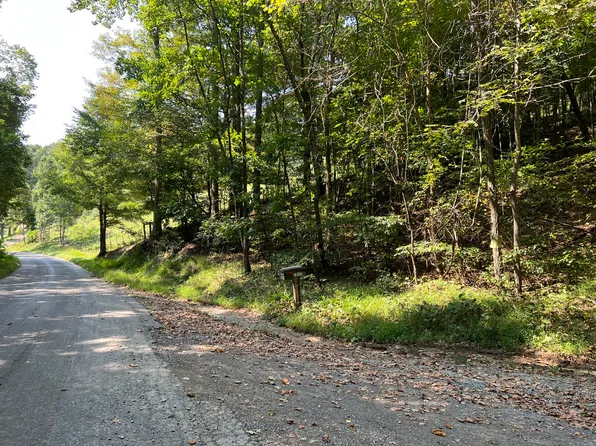 0 Bethel Rd, Nickelsville, VA 24271