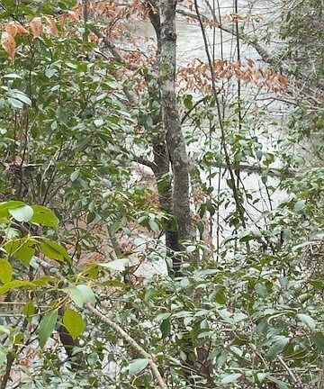 2nd image of LOT Four Helton Rd