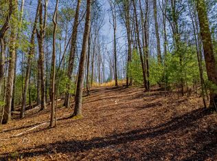 2564 Parnell Dr, Ellijay, GA 30540
