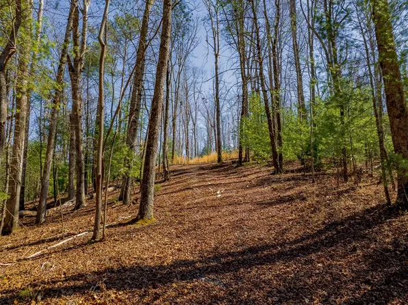 2564 Parnell Dr, Ellijay, GA 30540