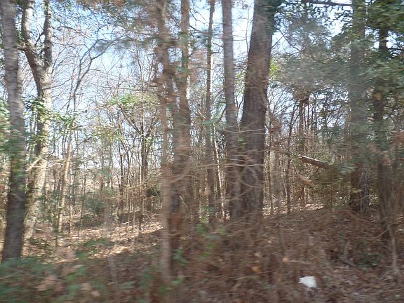 3rd image of 1057 County Road 1506