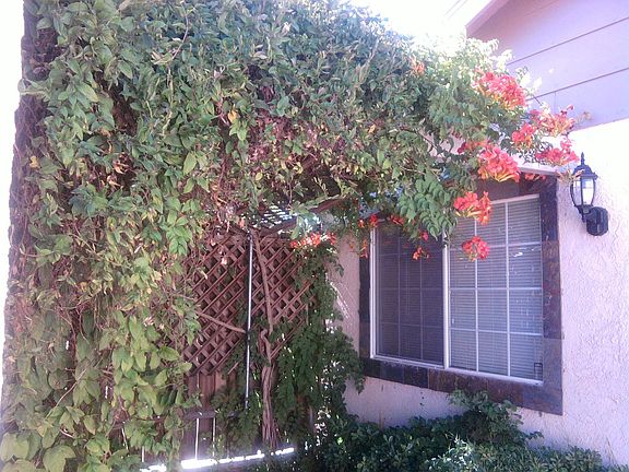 Front Patio