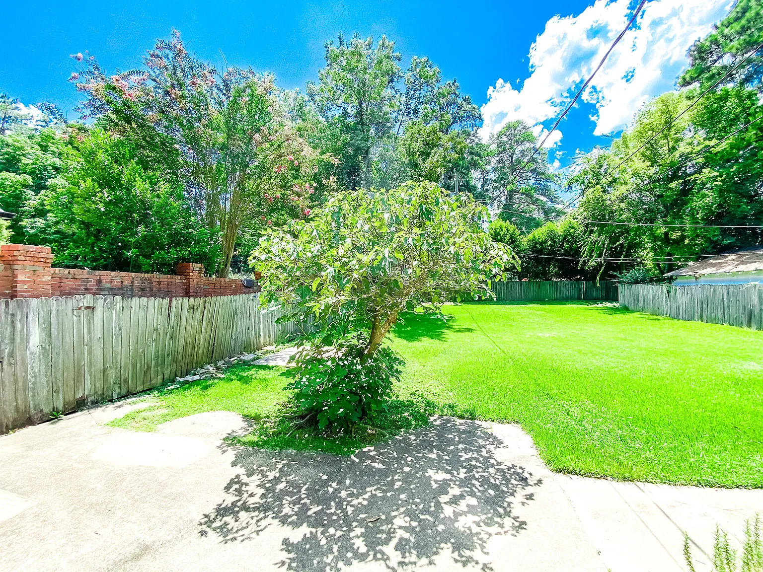 218 Malaga Avenue Homewood AL 35209 - 1 — Photo 2