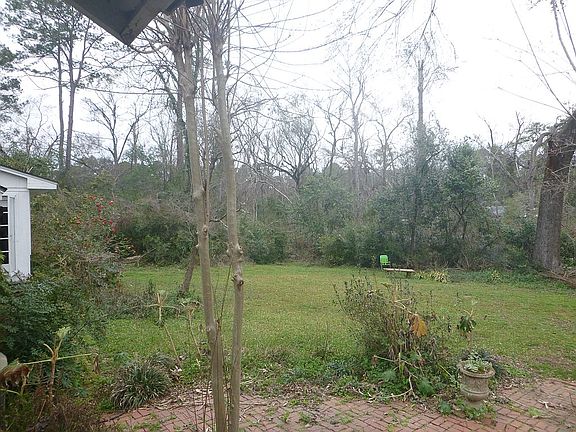 Wooded private back yard