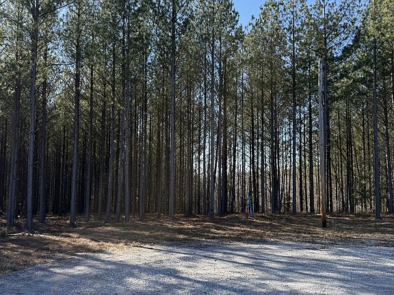 3rd image of 533 Center Ridge Dr Lot 7