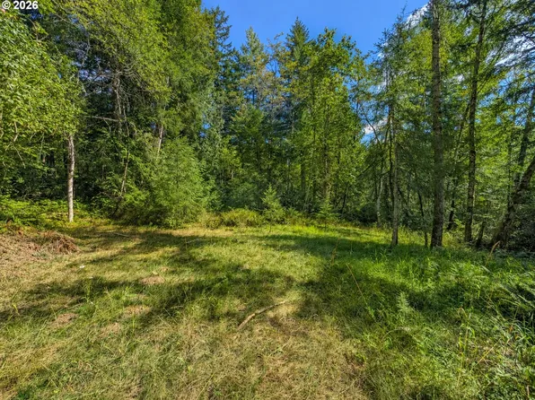 0 NE Berry Rd, Battle Ground, WA 98604