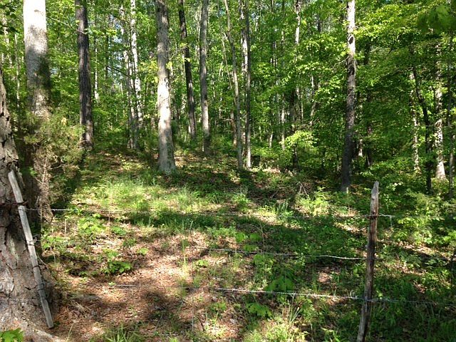 2nd image of 5400 Harpers Rd