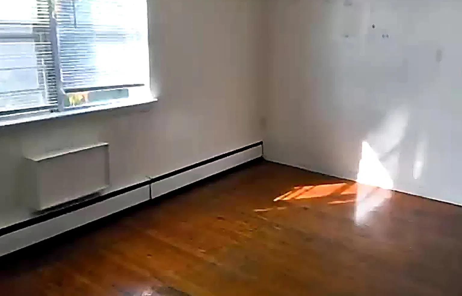 2 bed, $1,249 — Photo 3
