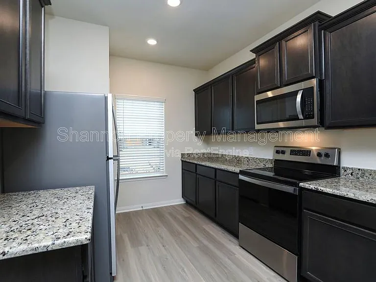 20722 Nala Bear Dr — Photo 9