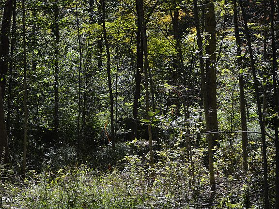 2nd image of 113 Snow Drift Rd