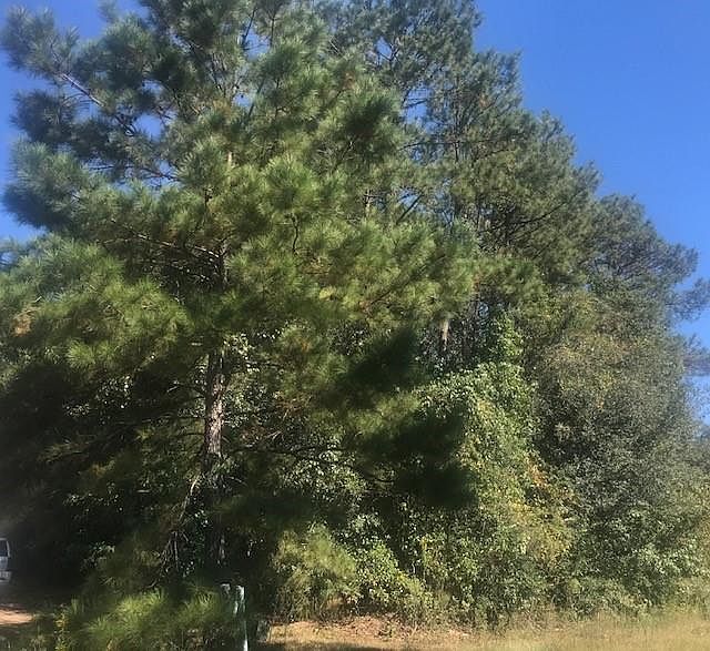 1st image of Stuart Ct