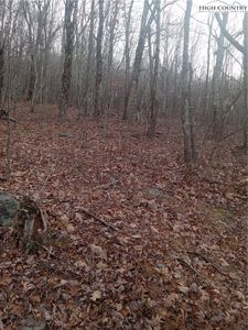 tbd Middle Fork Lane, Whitetop, VA, 24292