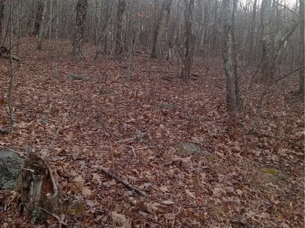 tbd Middle Fork Lane, Whitetop, VA 24292