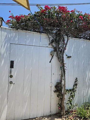 267 H Ave Photo 1