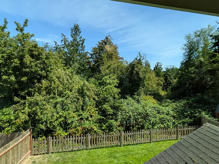 Greenbelt behind home