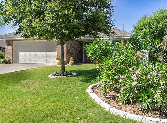 Large established tree and amazing landscaping