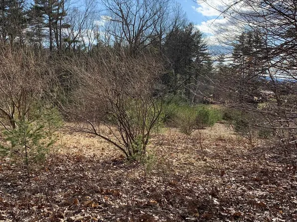 R5-20-1 Francestown Road, Greenfield, NH 03047