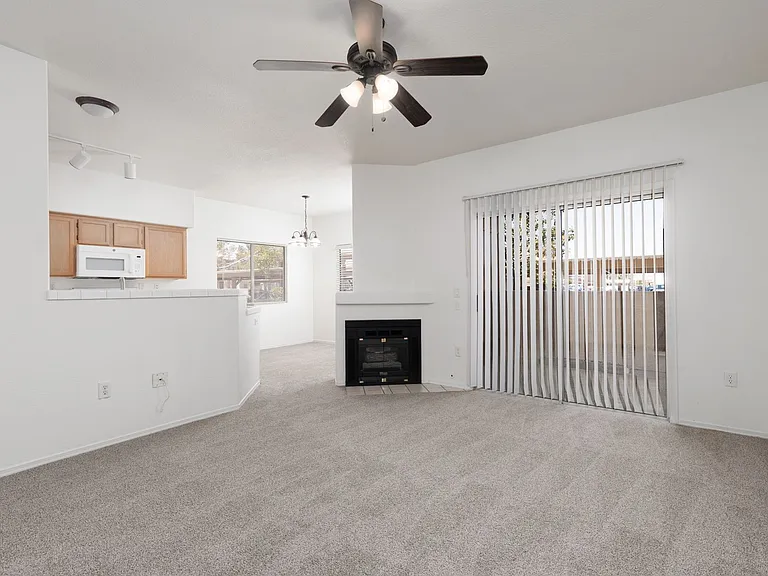 1050 E Cactus Ave #1101 — Photo 3