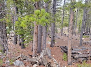 9 Silver Creek Rd, Idaho Springs, CO 80452