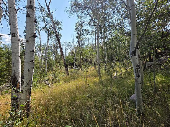 3rd image of 5085 Alpine Rd