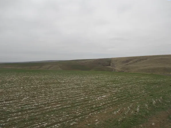 Nka Rice Rd, Kahlotus, WA 99335